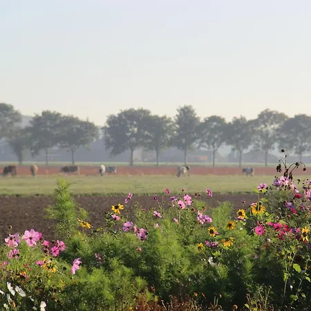 Tranquil Holiday In With Terrace Dom wakacyjny *