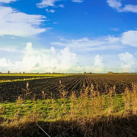 Tranquil Holiday In With Terrace Dom wakacyjny Zwaluwe